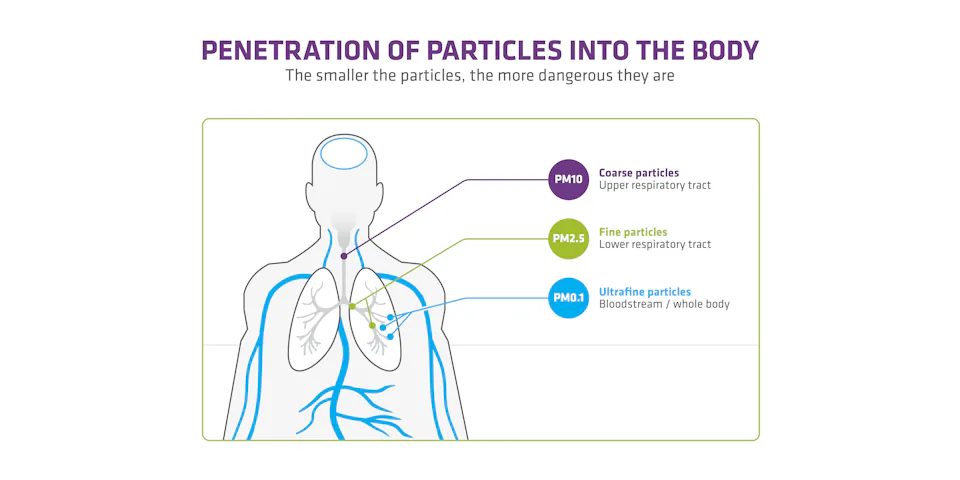 Penetration of Particles into the Body The smaller the particles, the more dangerous they are