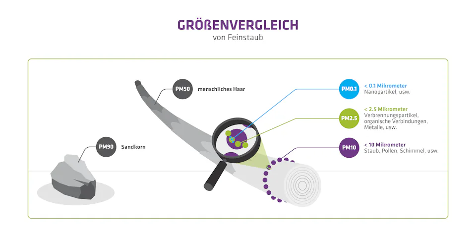 das_groessenvergleich das_groessenvergleich