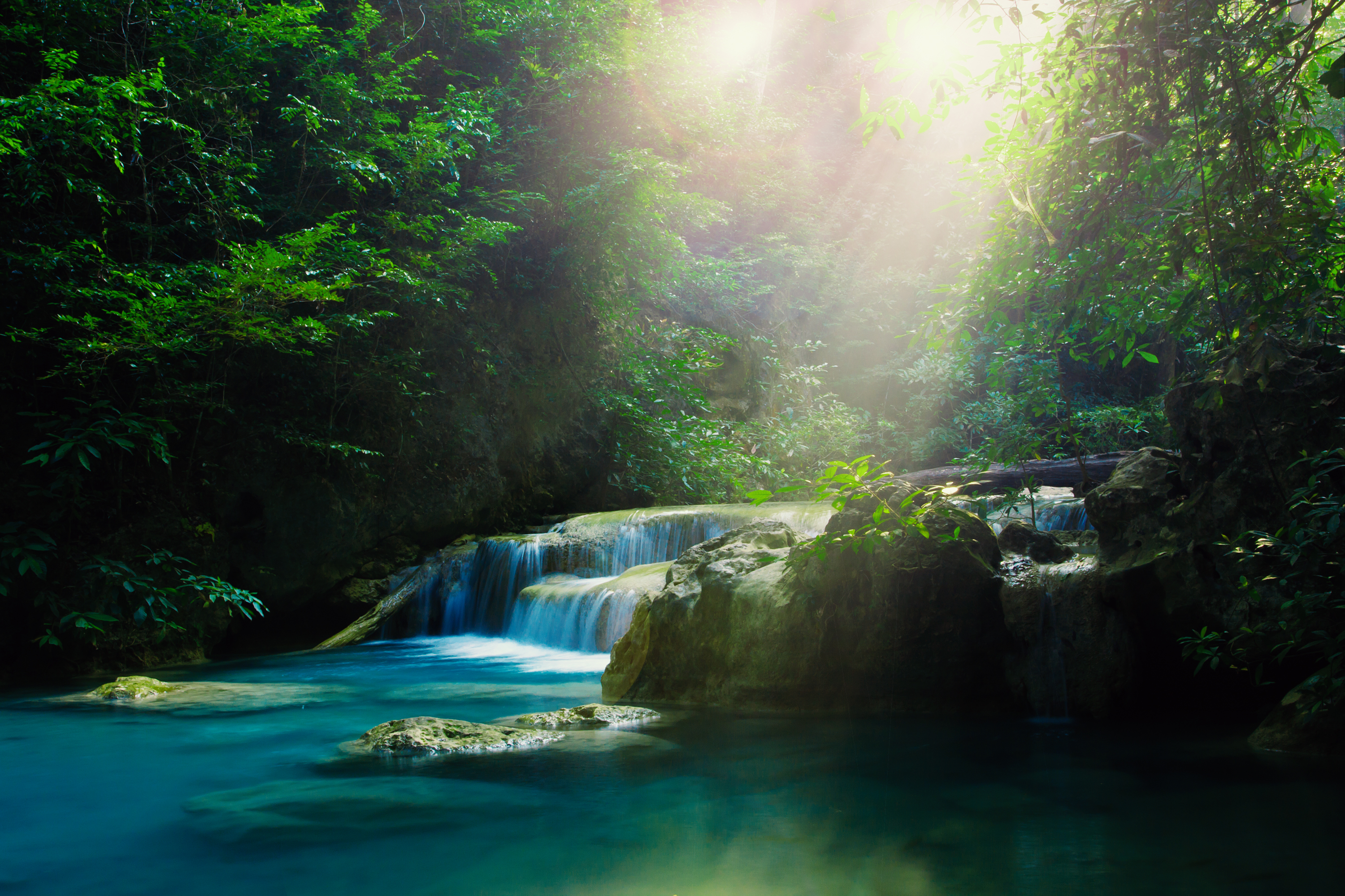 A tranquil, clear waterfall flows through a lush, sun-drenched jungle, with vibrant green foliage and rocks surrounding the clear turquoise water.