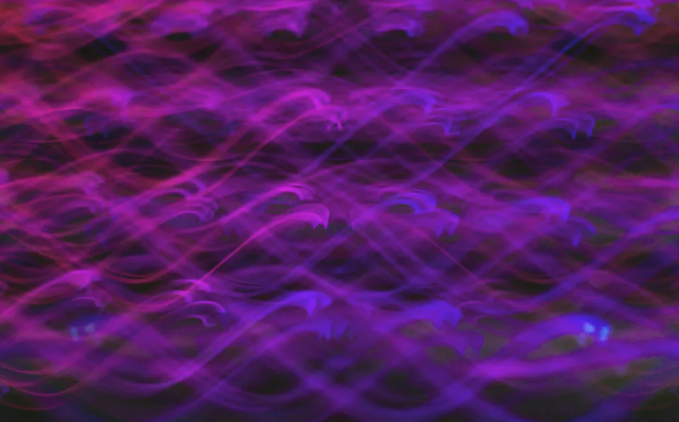Abstract light painting with vibrant purple and pink swirling patterns creates a dynamic and mesmerizing visual effect.