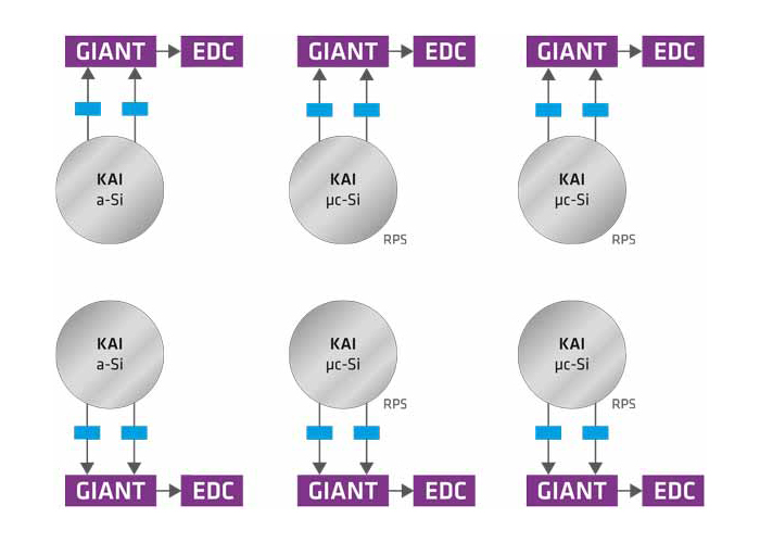 Six schematic representations of cells with purple boxes labelled ‘GIANT’ and “EDC”, grey circles labelled ‘KAI a-Si’ and ‘KAI µc-Si’, and blue arrows showing the connection between the elements.