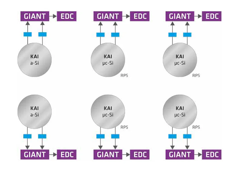 Six schematic representations of cells with purple boxes labelled ‘GIANT’ and “EDC”, grey circles labelled ‘KAI a-Si’ and ‘KAI µc-Si’, and blue arrows showing the connection between the elements.