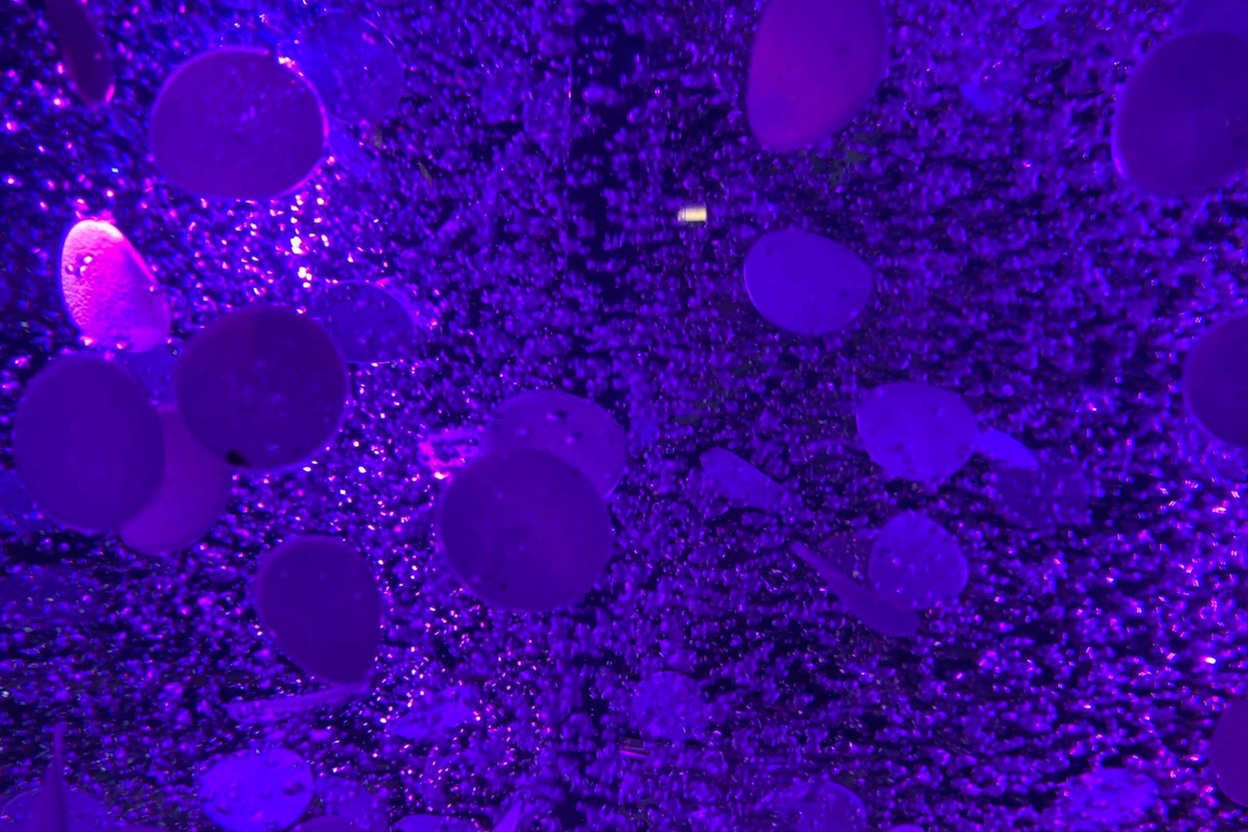 Purple light illuminates numerous round carrier materials used in biological wastewater treatment with SALVINIA, while air bubbles rise in the liquid.