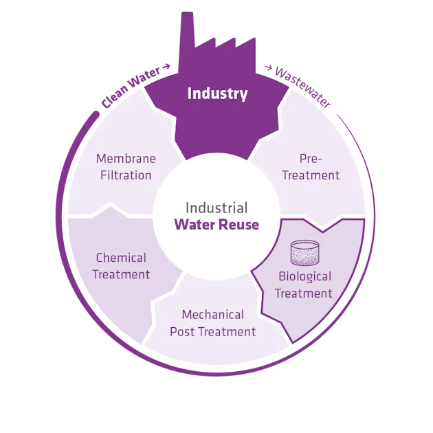 Industrial Water Reuse A circular flowchart illustrating the process of industrial water reuse, highlighting stages such as pre-treatment, membrane filtration, chemical treatment, mechanical post-treatment, and biological treatment, with focus on enhancing clean water and wastewater management in the industry sector.