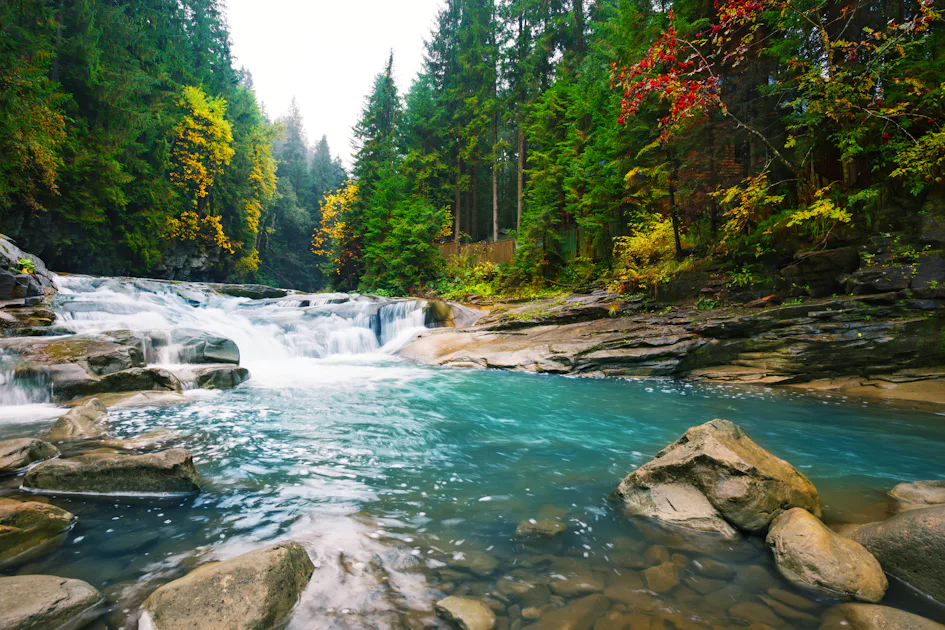Waterfall on Mountain A picturesque landscape shows a clear, turquoise river flowing over flat rocks in the middle of a lush forest with autumn leaves.