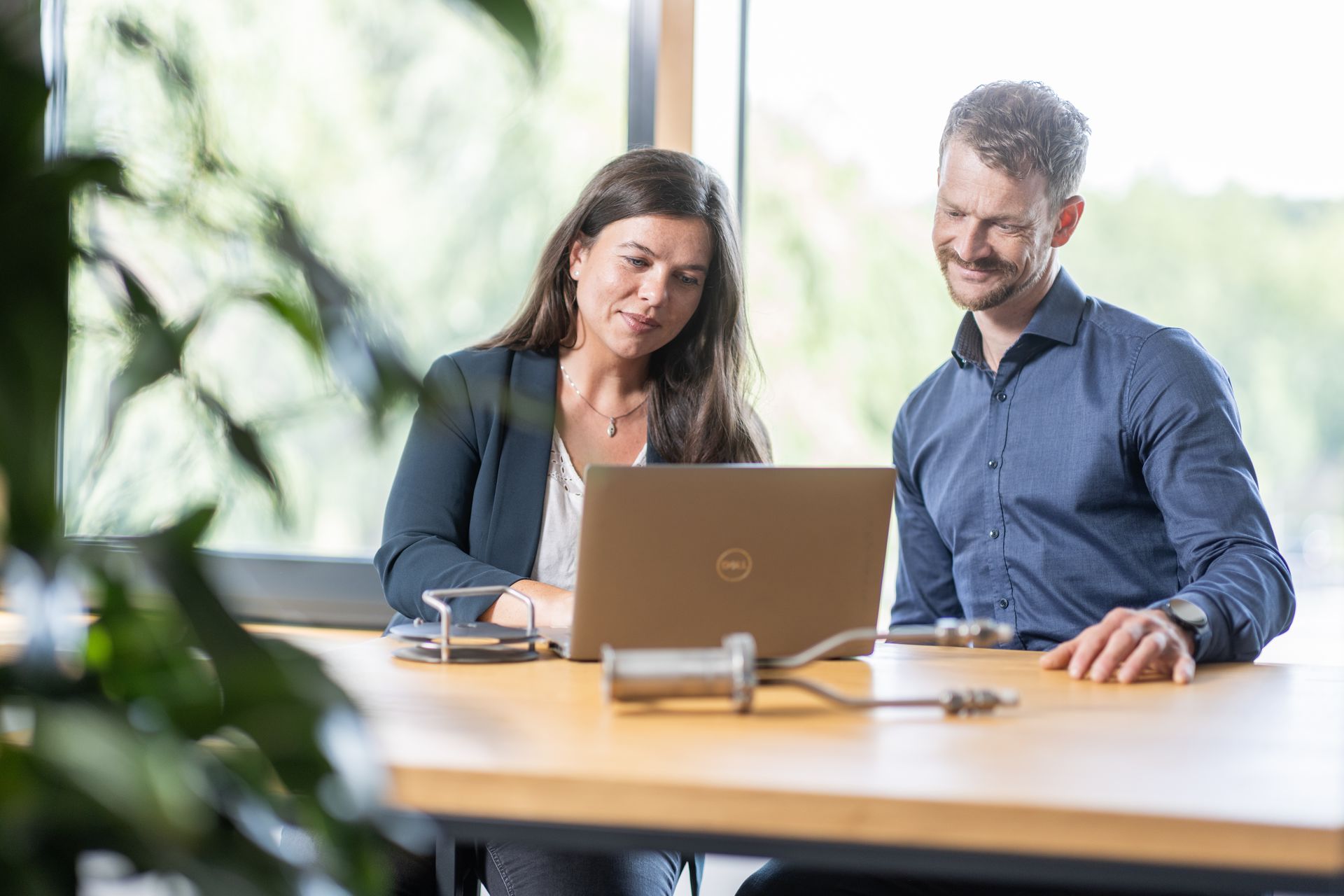Zwei Personen sitzen an einem Tisch in einem modernen Büro und arbeiten gemeinsam an einem Laptop, während im Vordergrund Pflanzen und im Hintergrund große Fenster mit ins Grüne zu sehen sind.
