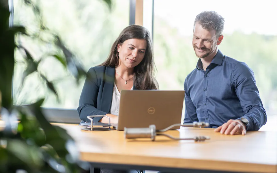 DAS EE Team plant neue Anlage Zwei Personen sitzen an einem Tisch in einem modernen Büro und arbeiten gemeinsam an einem Laptop, während im Vordergrund Pflanzen und im Hintergrund große Fenster mit ins Grüne zu sehen sind.