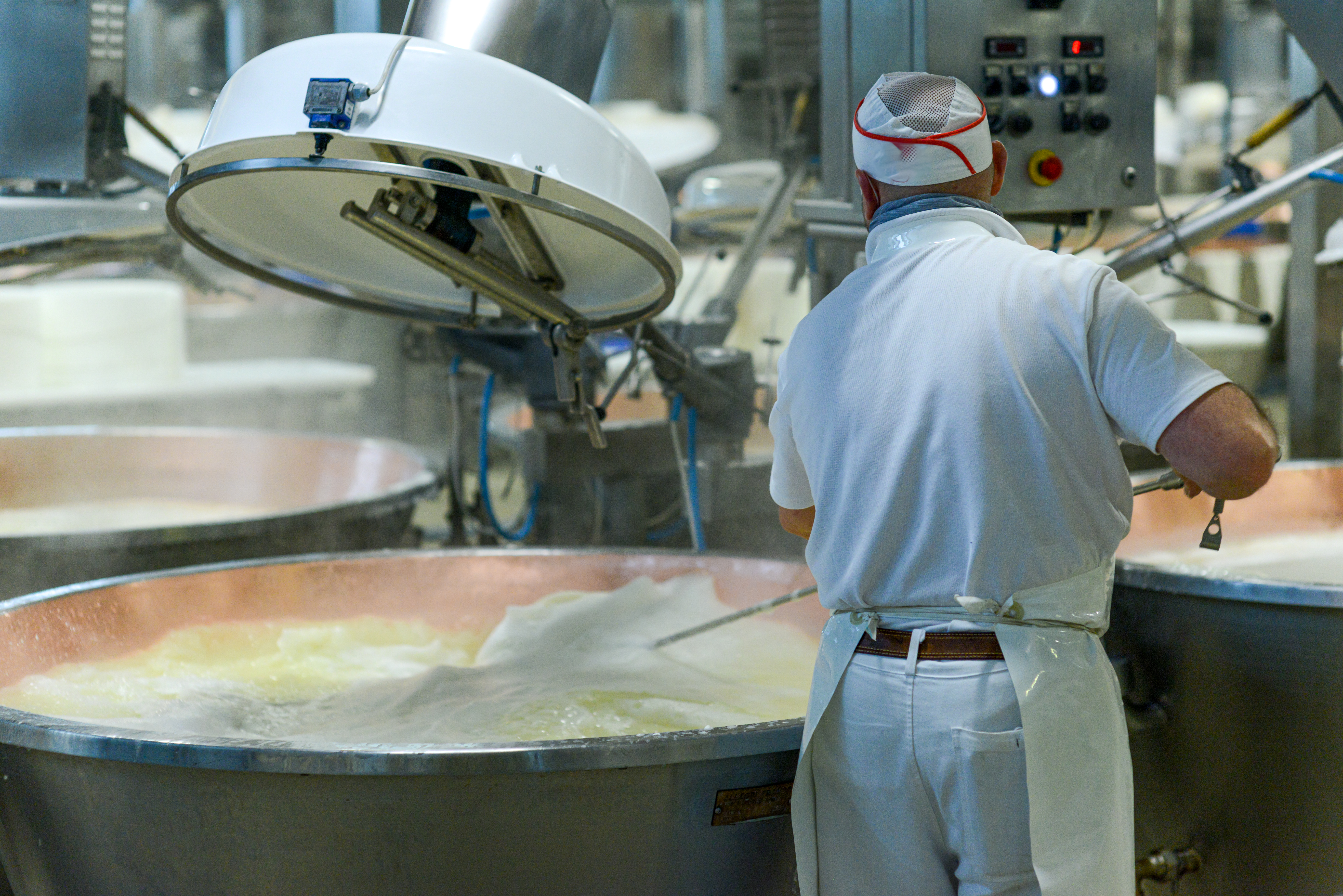 A cheese maker wearing a white uniform and cap attentively stirs a large vat of curdling milk in a bustling cheese production facility.