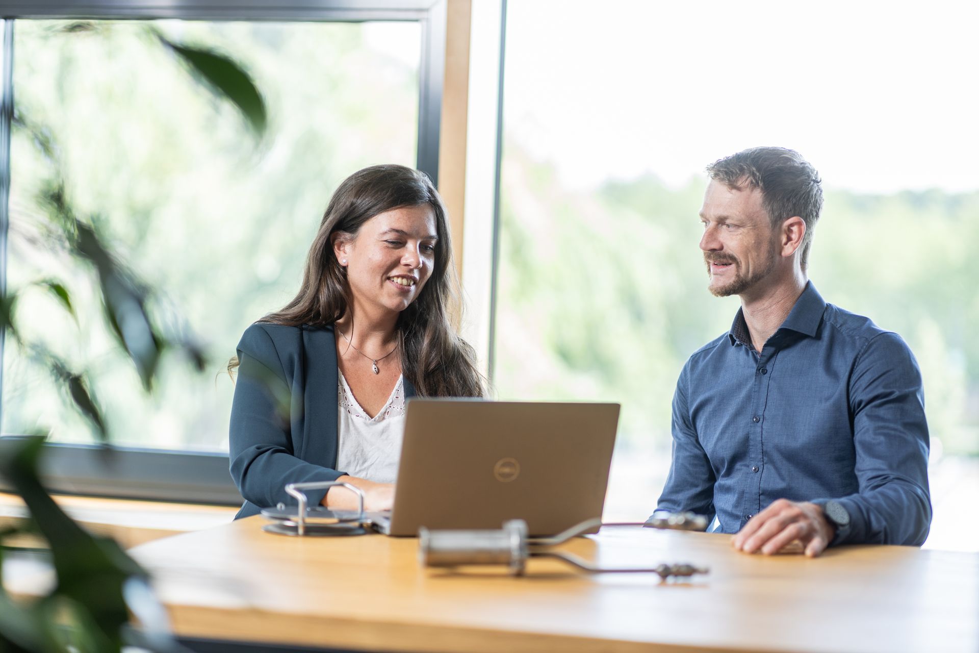 Two people are sitting at a wooden desk in a bright office, engaged in conversation while looking at a laptop, with large windows and greenery in the background.
