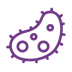 biological-process_purple A simple illustration of a purple, single-celled microorganism, such as a bacterium, featuring circular internal structures and small protrusions on its surface.