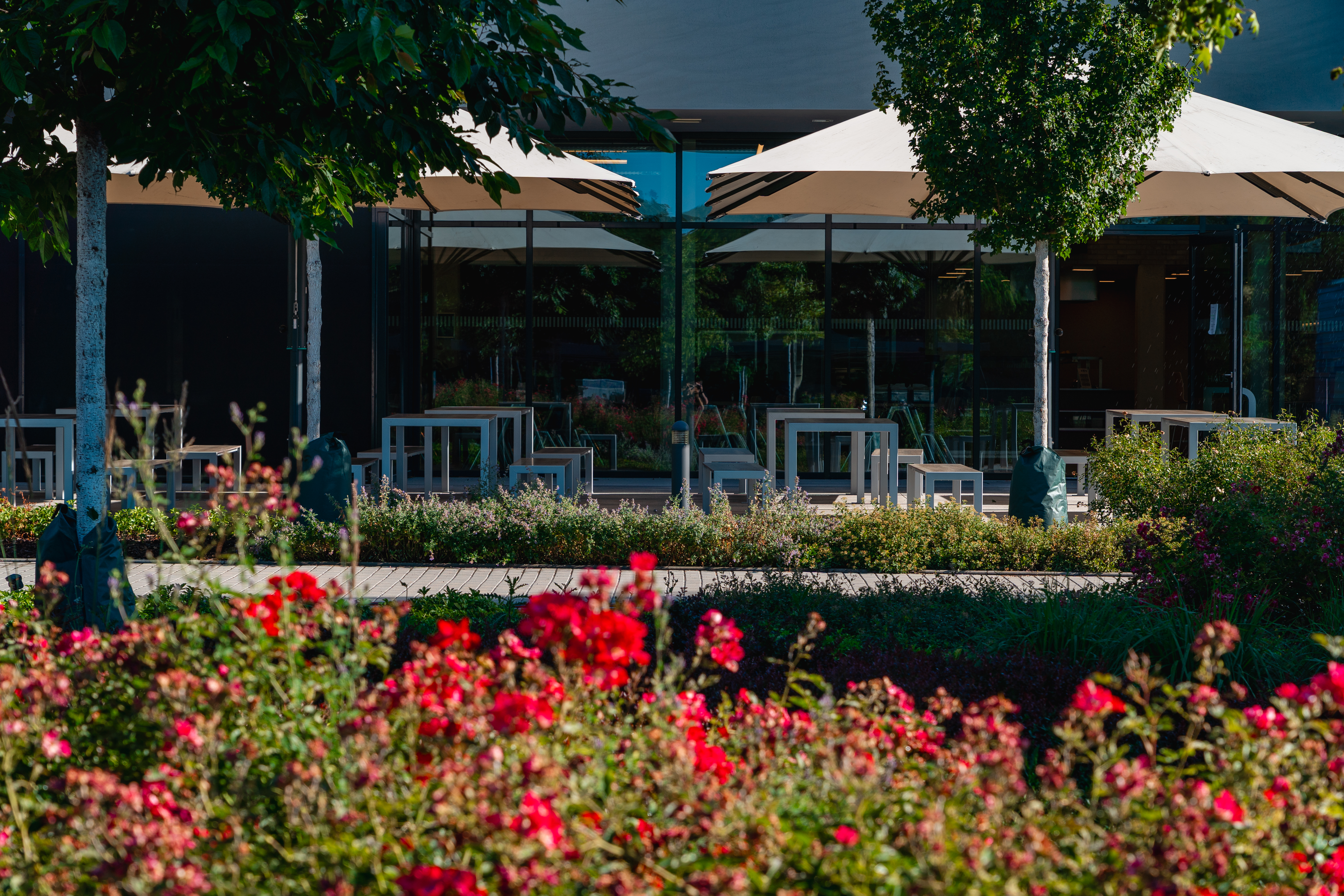 DAS Campus