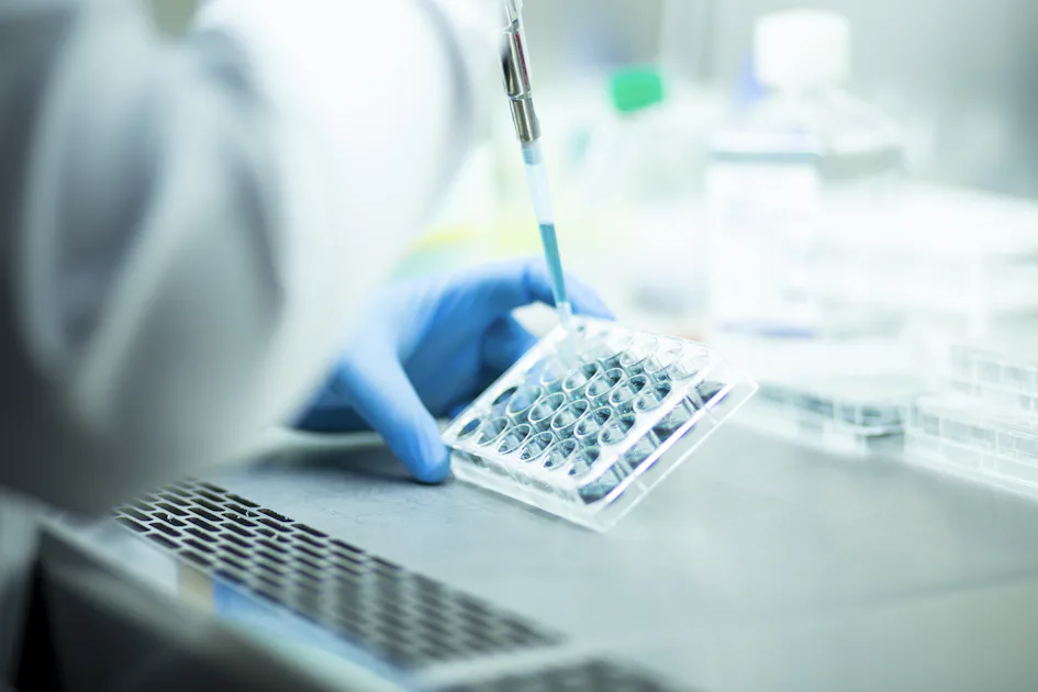 Cell culture at the cell culture genetic bioprocess medicine and medical labrotory A scientist wearing blue gloves uses a pipette to dispense liquid into a multi-well plate in a laboratory setting, surrounded by lab equipment and small bottles.