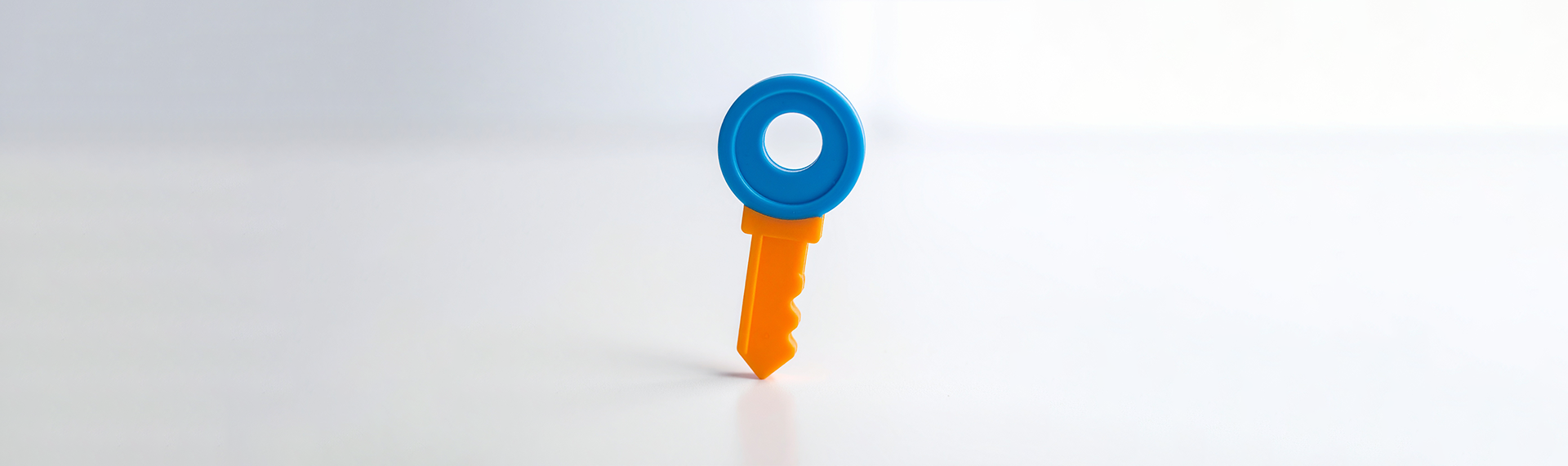 Plastic toy key