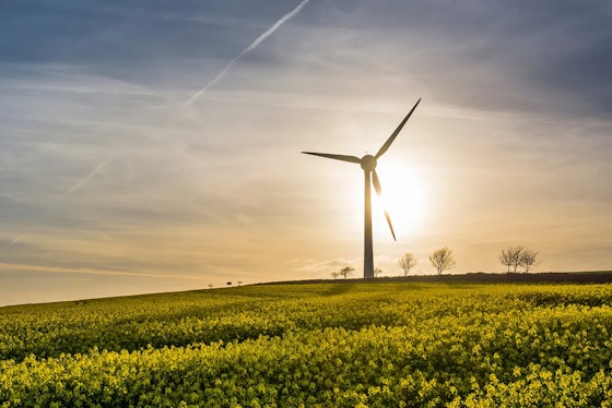 Windmill in a field