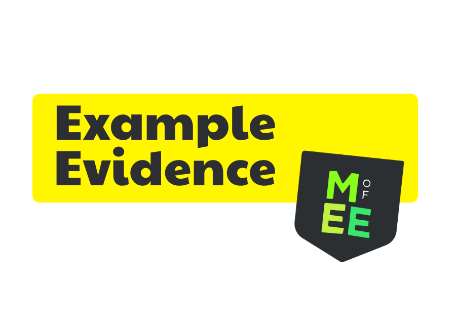 Example Evidence