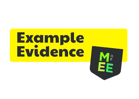 Example Evidence