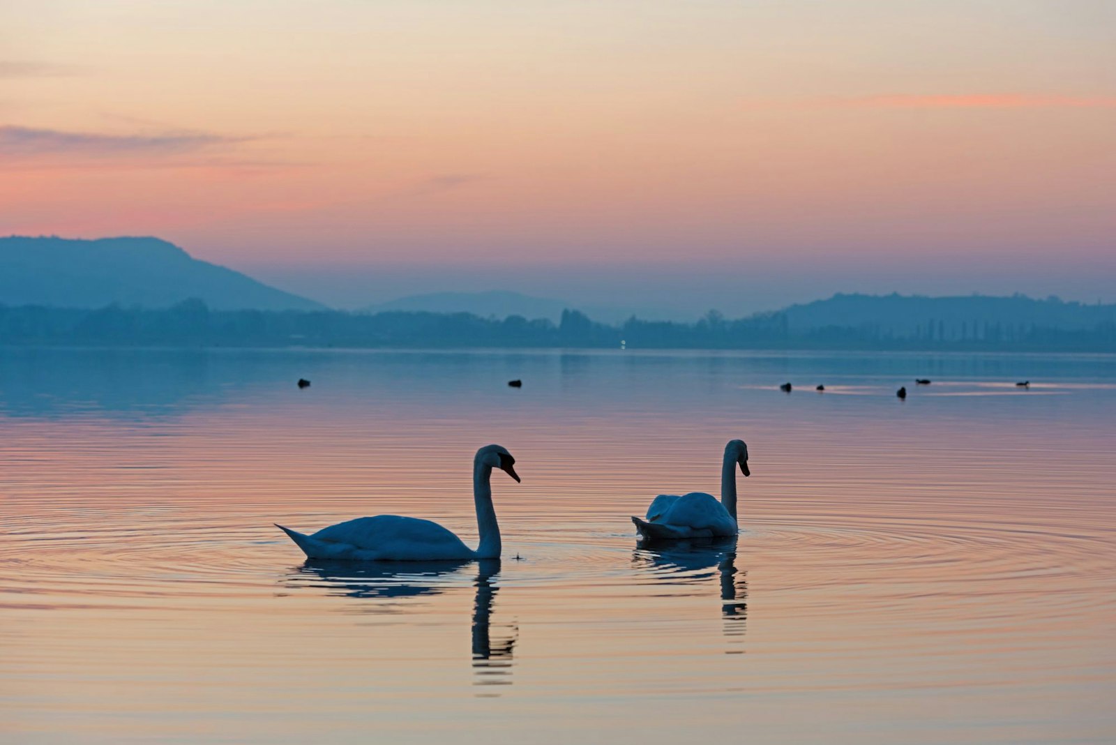 Natürliche Abenteuer am Bodensee