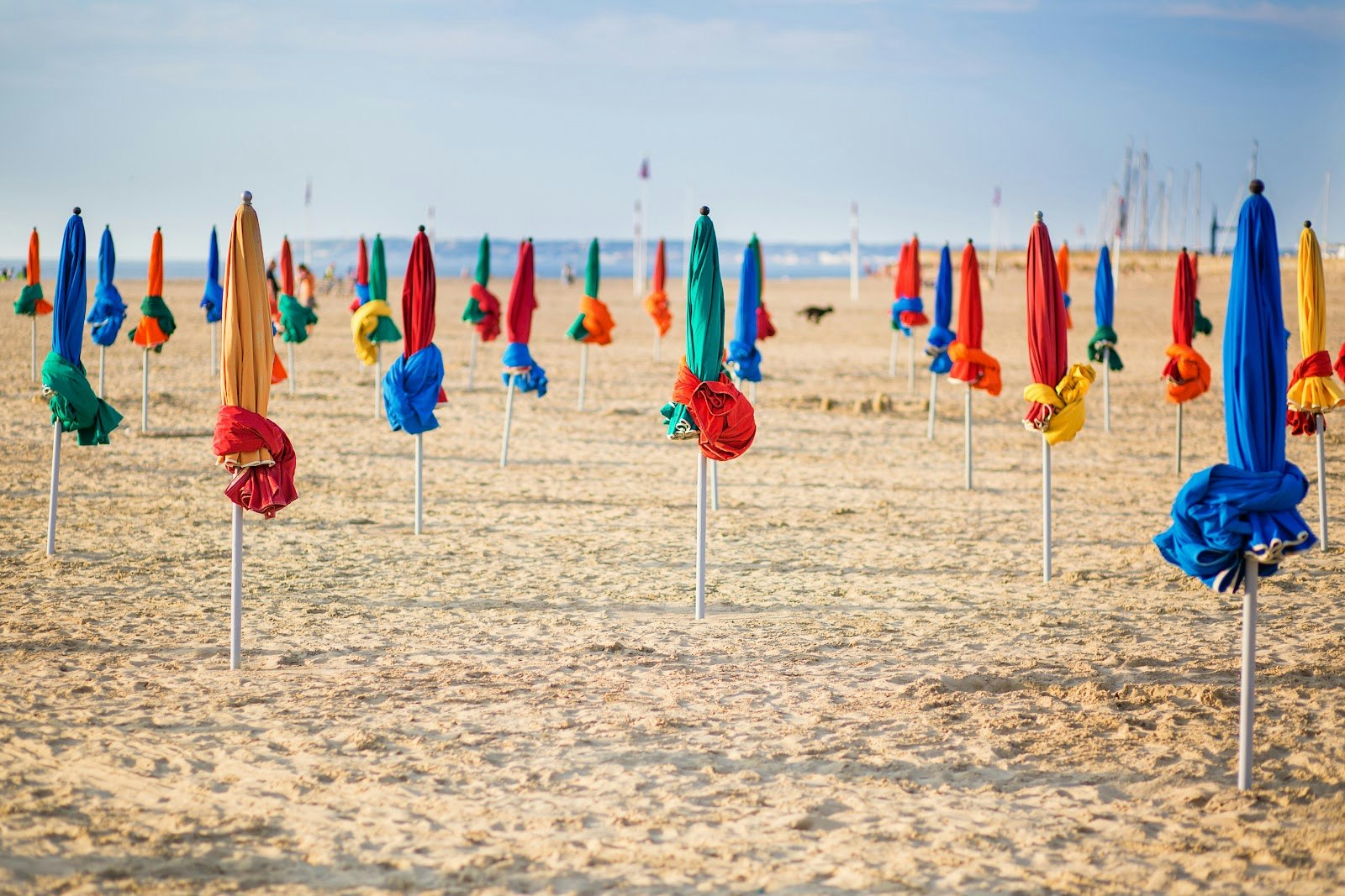 Parasols de Deauville