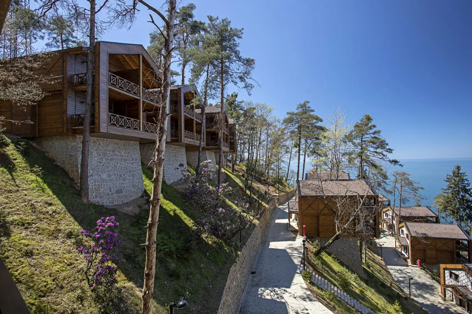 Hancioglu Orman Evleri (Bungalow) & Hotel