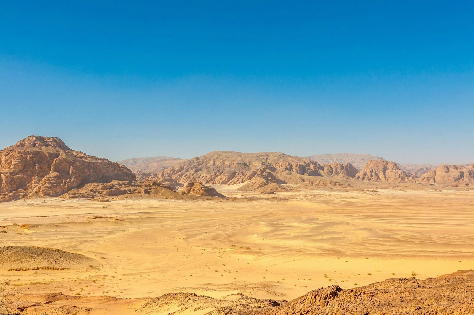 Desert of Sinai