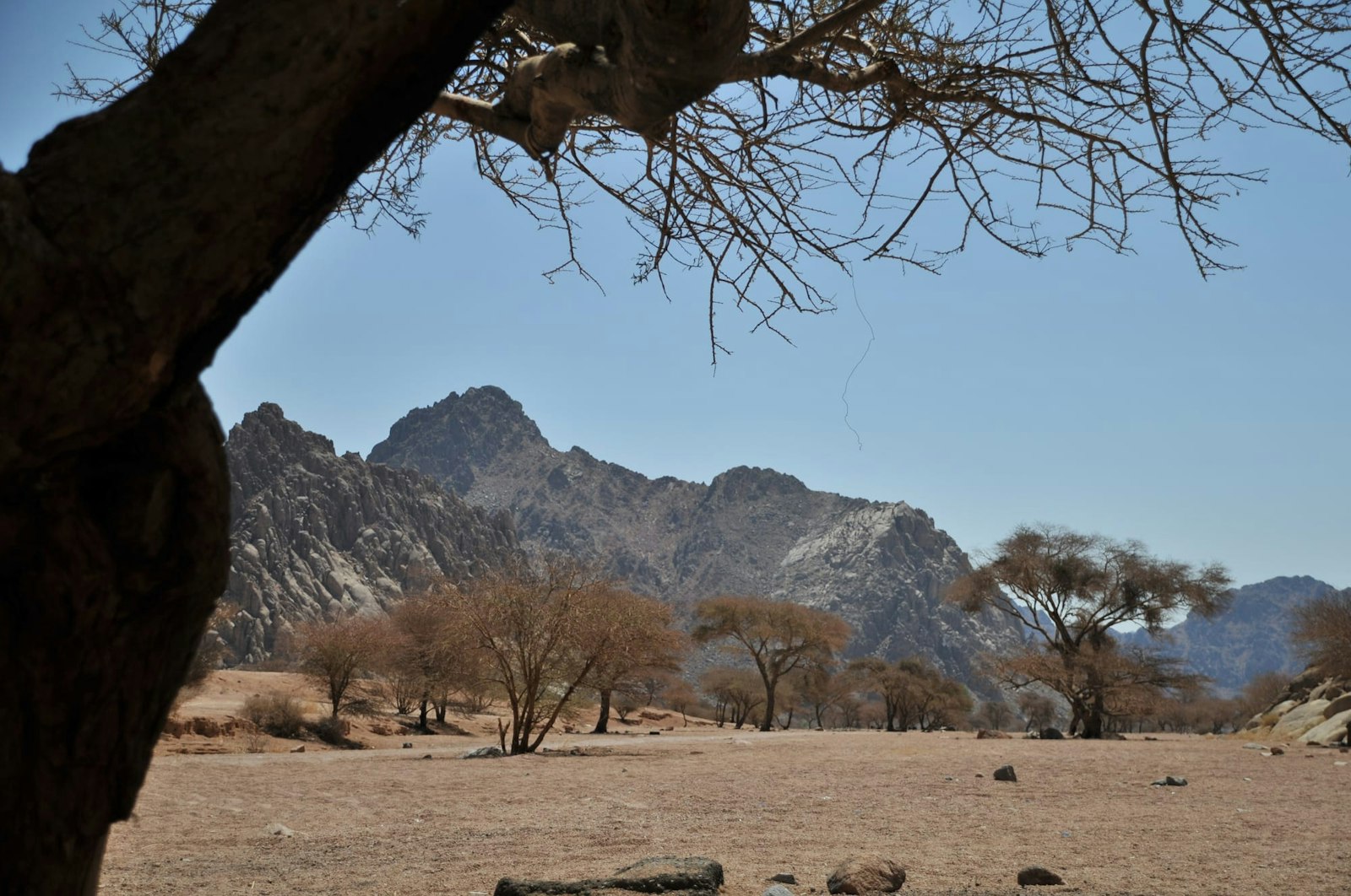 View of the Badr Battlefield in the Madinah Province