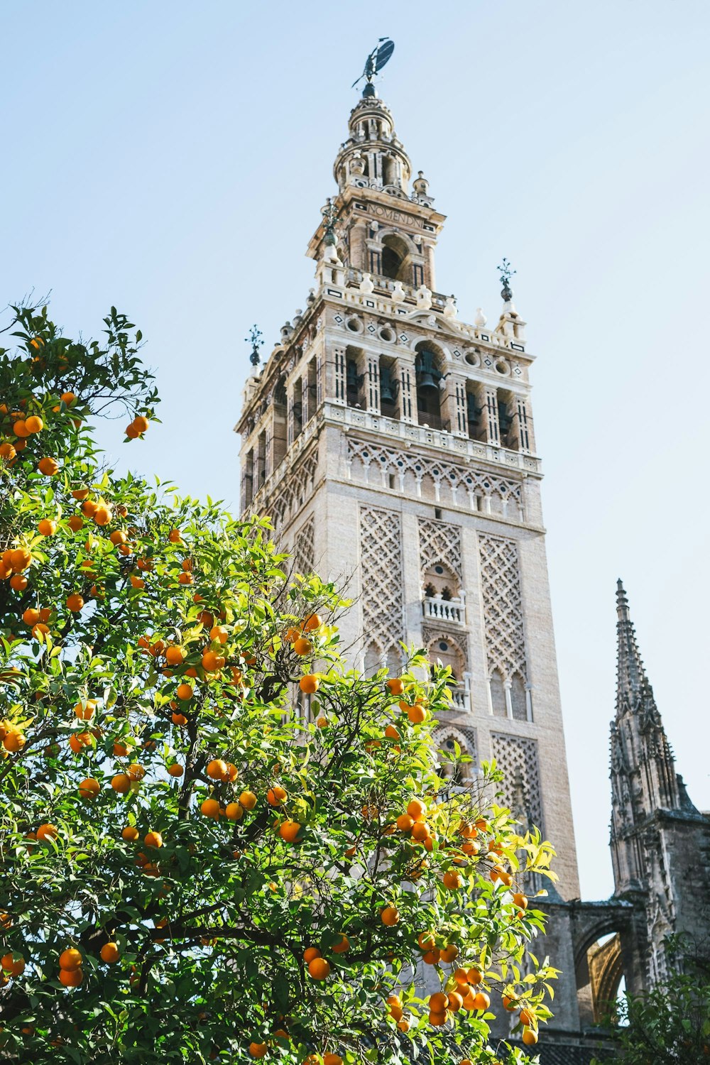 Giralda in Sevilla