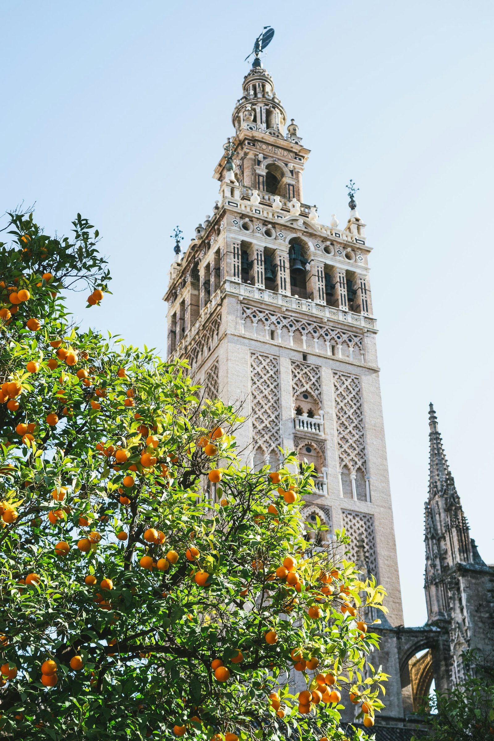 Giralda in Seville