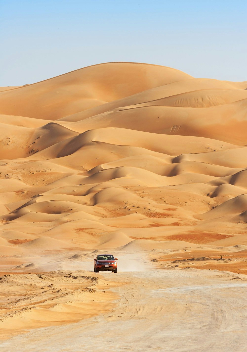 Discover the dunes and the special character of the Saudi desert