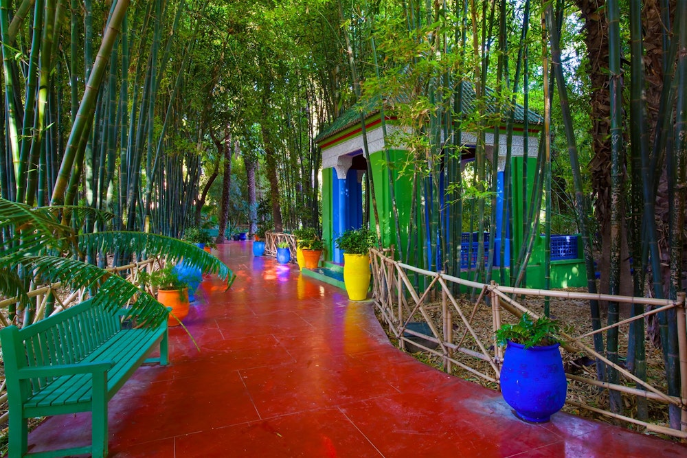 Alley in the Majorelle Garden