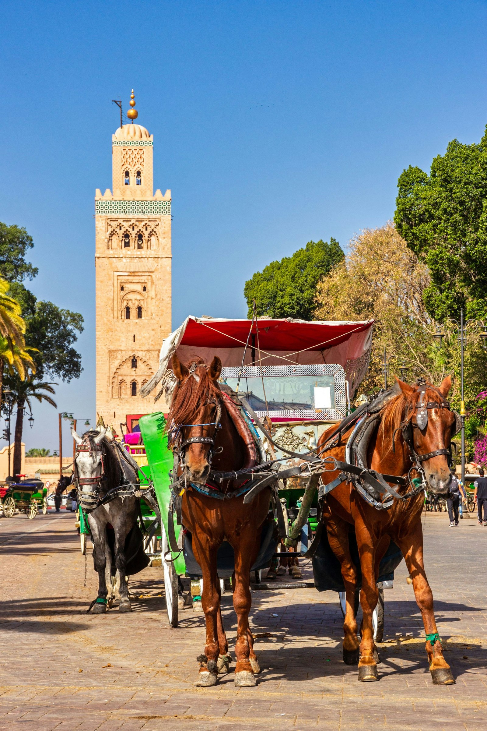 Horse-drawn carriages outside Jemaa el Fna