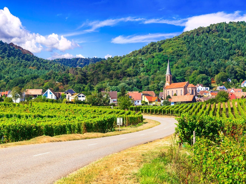 Route through the vineyards of Alsace