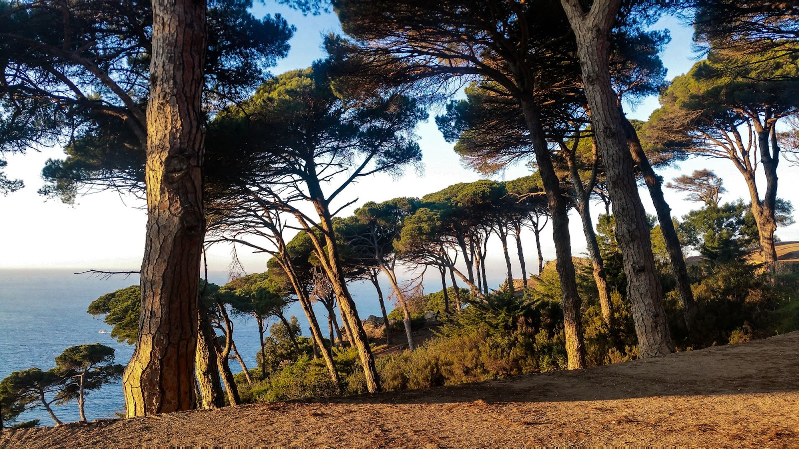 Parc forestier de Rmilate