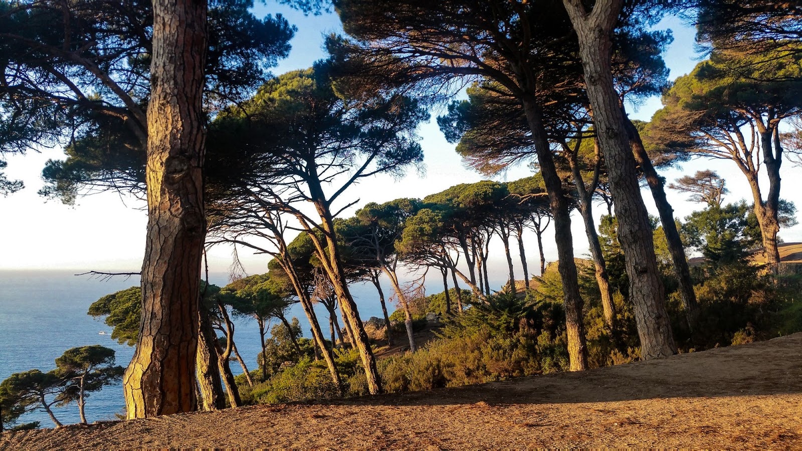 Парк Рмилат (Пердикарис)