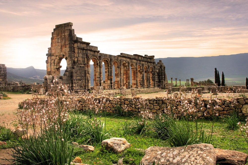 Ruines romaines de Volubilis
