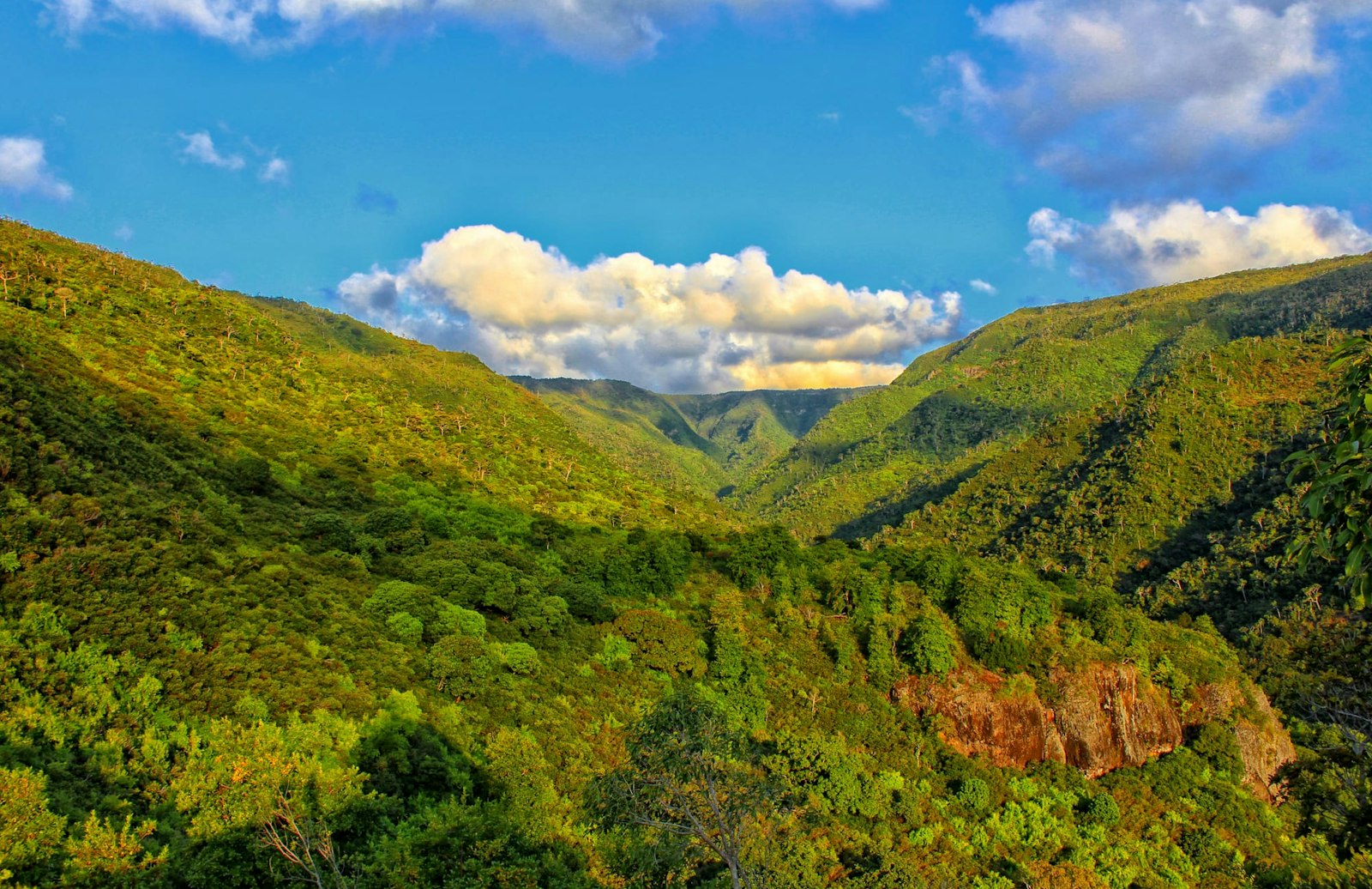 View of Black River Gorges
