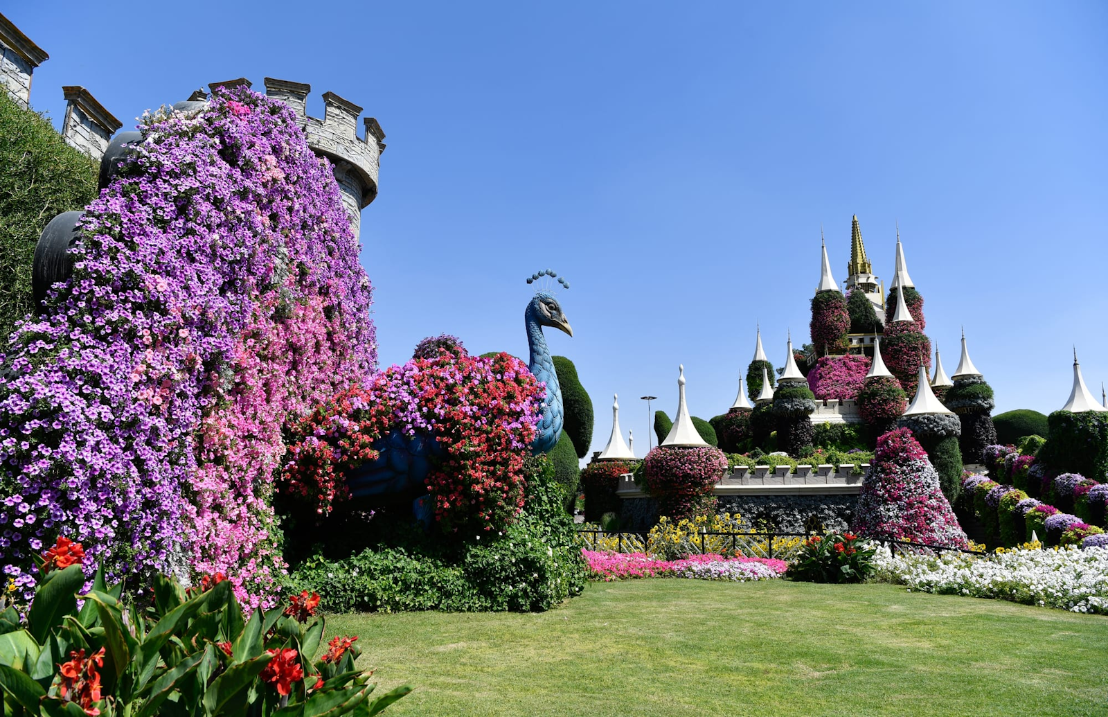 Сад чудес Дубая