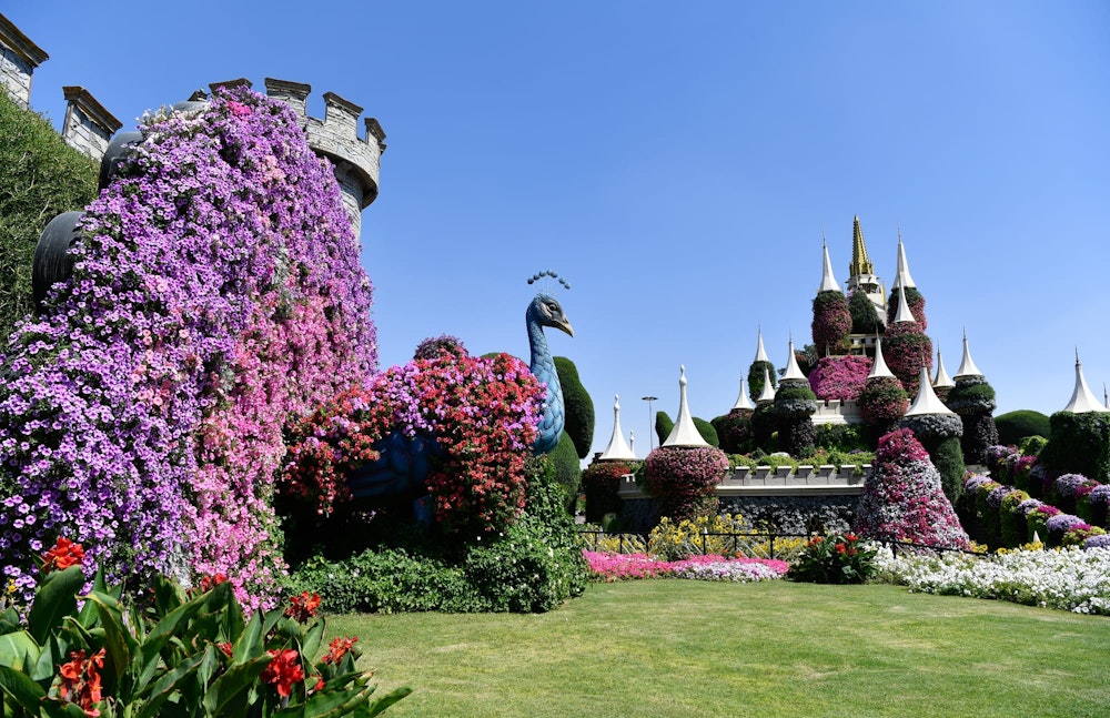 Сад чудес Дубая