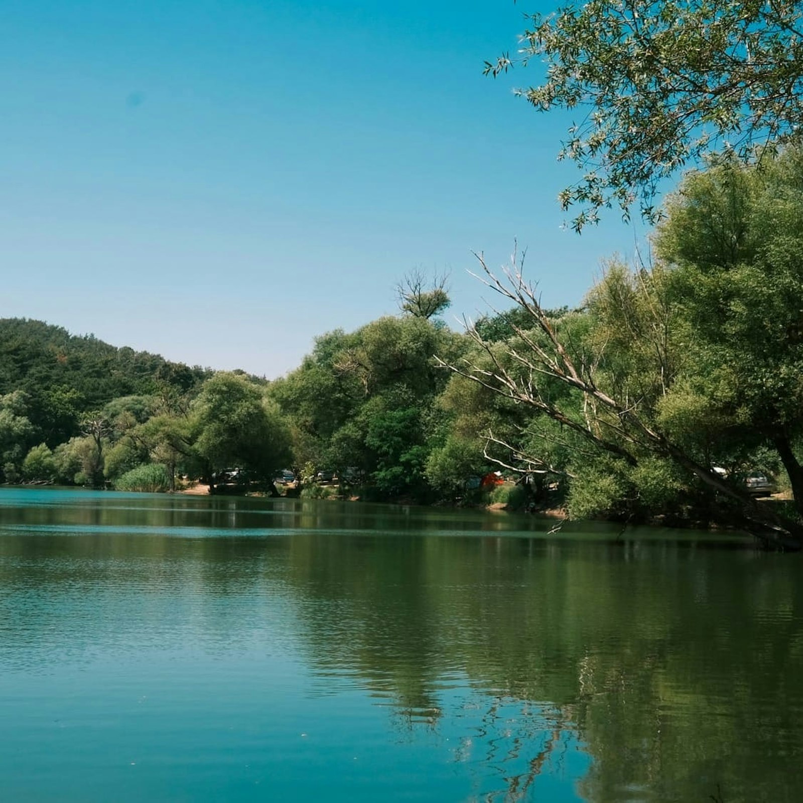 Karagöl Tabiat Parkı