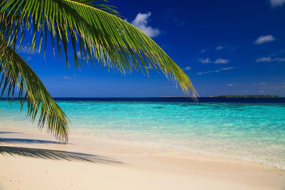 What to see in the Maldives?