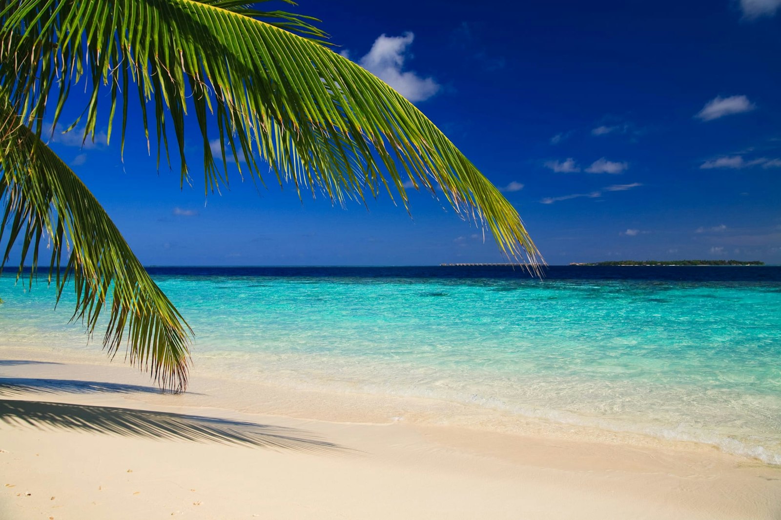 What to see in the Maldives?