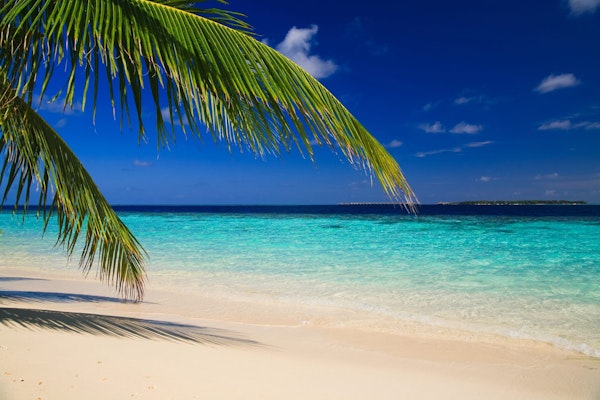 What to see in the Maldives?