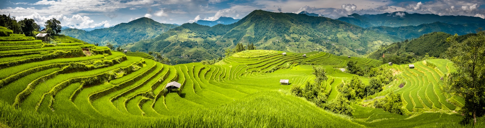 من الخلجان الزمردية إلى الرمال الذهبية: فيتنام في انتظارك