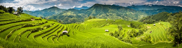 From Emerald bays to golden sands: Vietnam awaits