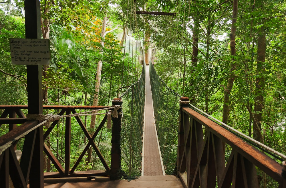 Canopy walkway, Taman Negara National Park