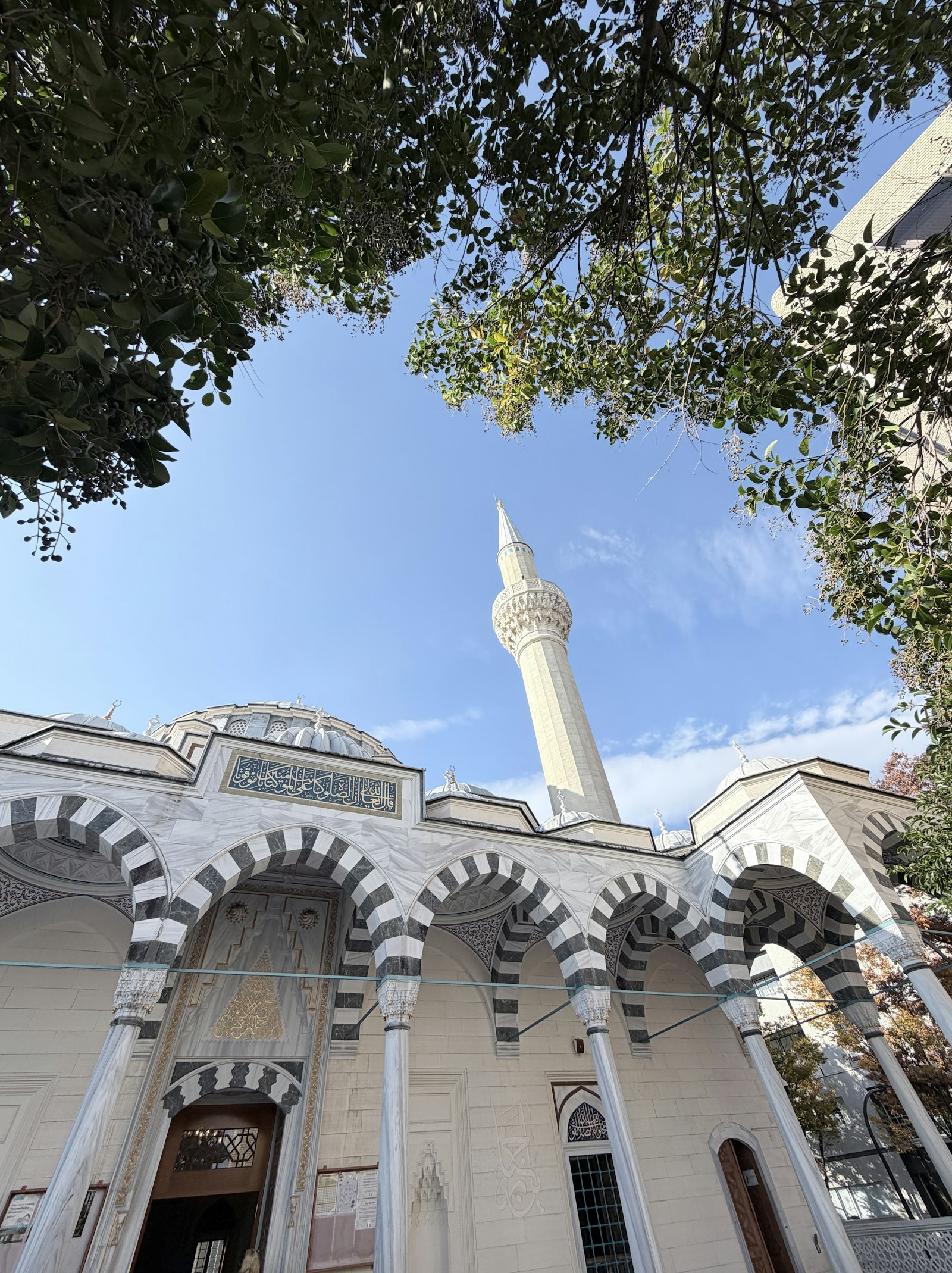 مسجد طوكيو