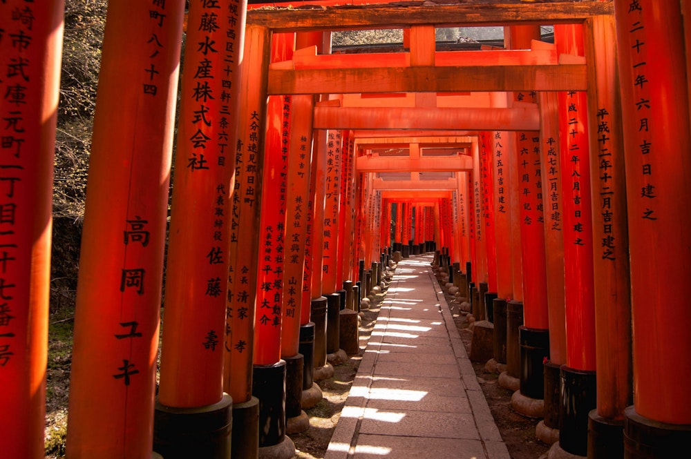 Torii gates of Fushimi Inari Taisha