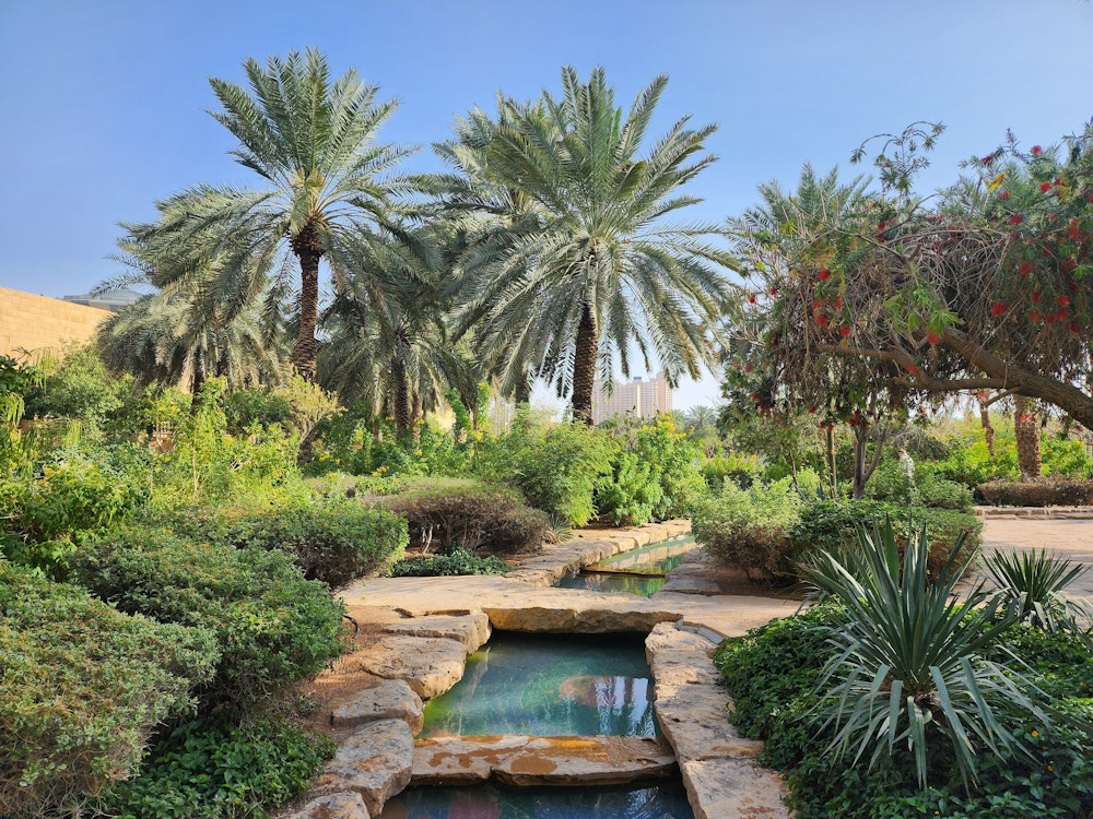 Palm Oasis (Wahat al-Nakheel)