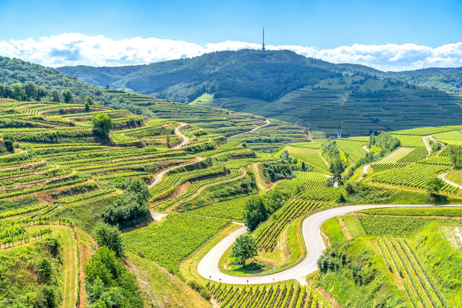 View of the Kaiserstuhl