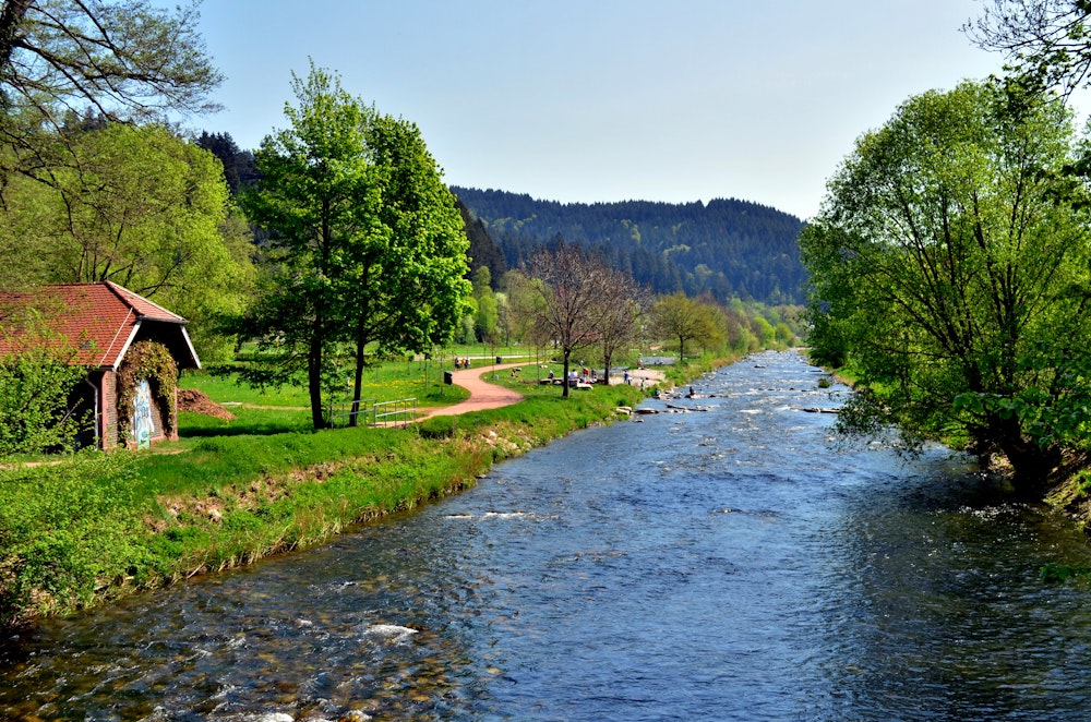 View of the Dreisam River