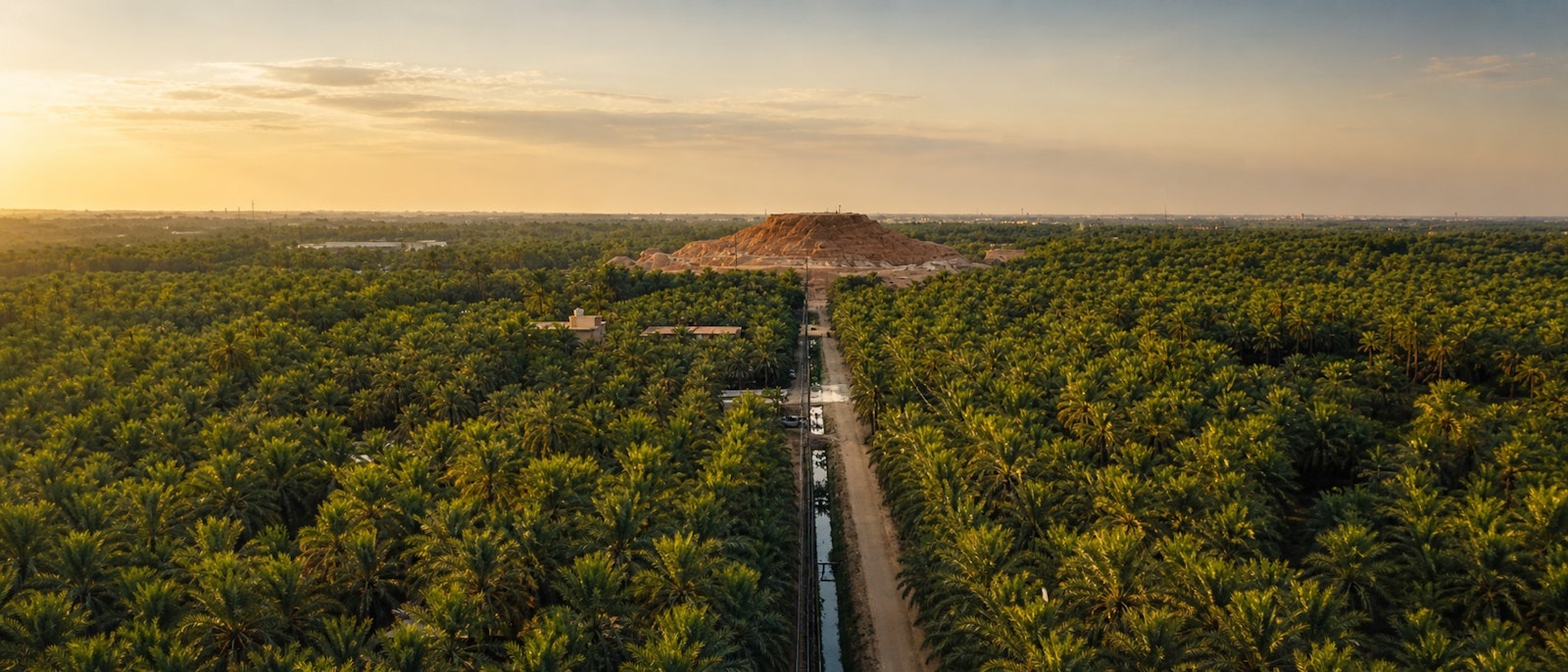 Eastern Province Guide: Al Khobar, Dammam & Al Ahsa Oasis